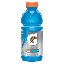 Gatorade 20oz-24/case